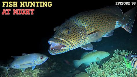 NIGHT SPEARFISHING EPISODE 96 FISH HUNTING AT NIGHT YouTube