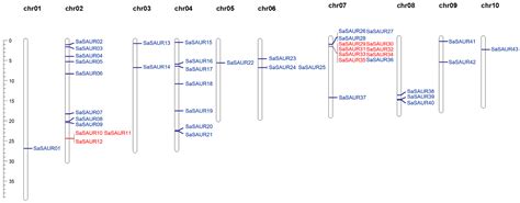Plants | Free Full-Text | Genome-Wide Analysis of the SAUR Gene Family ...