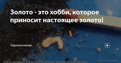 Золото - это хобби, которое приносит настоящее золото! | Рудольф Кавчик ...
