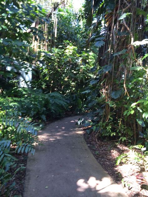 Fairchild Botanical Gardens | Garden design, Plants, Botanical gardens