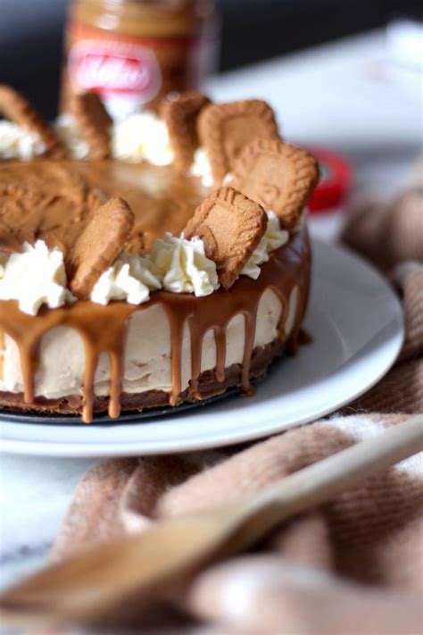 A No Bake Lotus Biscoff Cheesecake Recipe The Lovecats Inc