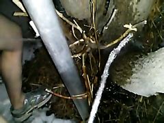 Plump Chick Voids Pee On A Tree Pissing Porn At ThisVid Tube