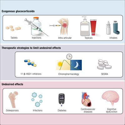 Treating the Side Effects of Exogenous Glucocorticoids | Endocrine Society