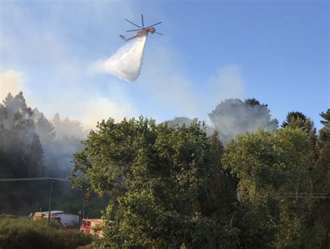 Declararon Alerta Roja Para La Provincia De Arauco Por Incendios Forestales