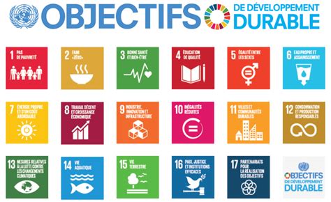 Découvrir Et Comprendre Les Odd Objectifs De Développement Durable