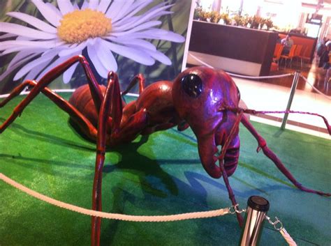 Giant Ant Giants Ants Aquarium