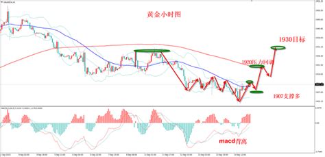 张志径：915黄金投资精准操作指导、黄金原油行情走势分析 知乎