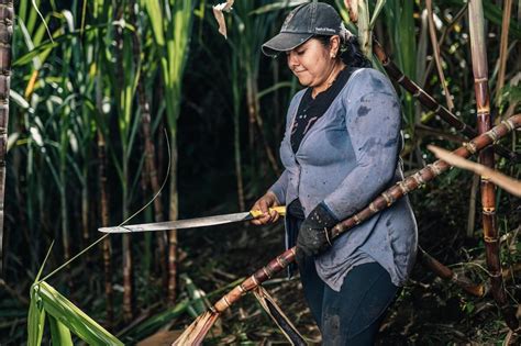 Consumi O Scegli Il Nuovo Docufilm Di Altromercato Il Nostro