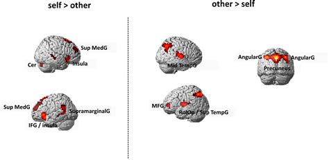 Frontiers Exploring Sex Differences In The Neural Correlates Of Self And Other Referential