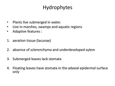 Xerophytes Mesophytes Hydrophytes