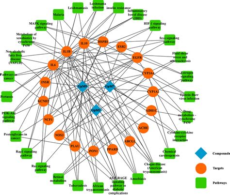 The Compound Target Pathway Ctp Network The 3 Active Compounds Were Download High