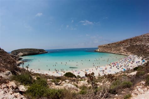 Everything About Animals and Beautiful Beaches: Rabbit Beach, Lampedusa ...