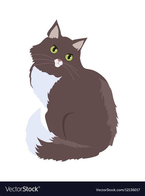 Siberian Cat Flat Design Royalty Free Vector Image