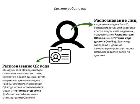 Face ID. Инструкция по применению. — Felenasoft