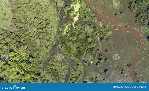 Aerial Shot of Pantanal Landscape, Mato Grosso, Brazil Stock Image ...