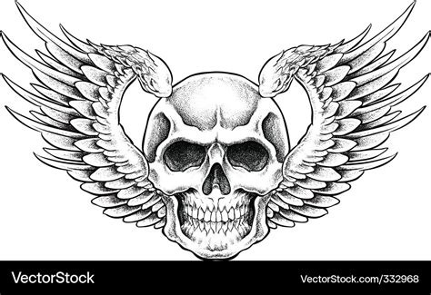 Skull With Wings Royalty Free Vector Image Vectorstock