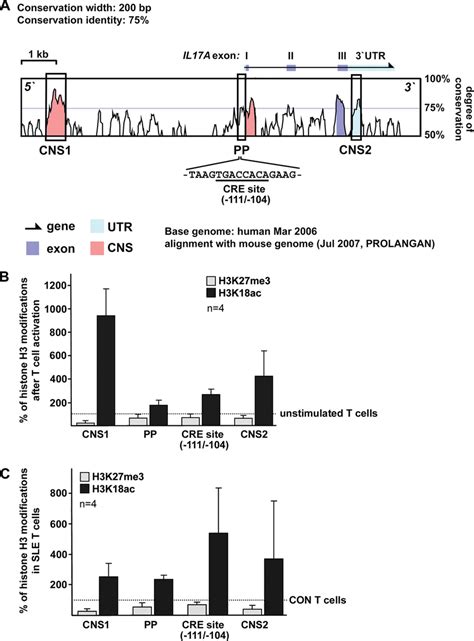 Histone H3 Modifications At The Human Il17a Gene In Response To T Cell