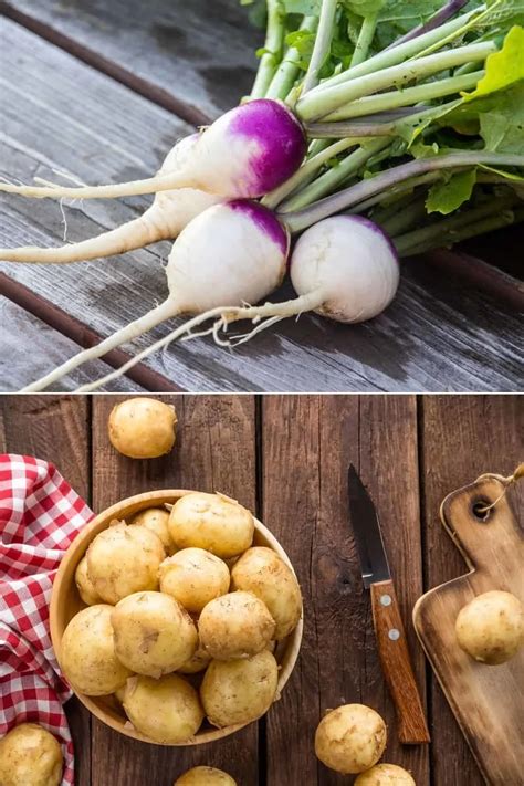 What Do Turnips Taste Like Learn Everything You Need To Know About Turnips Here