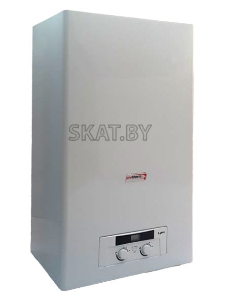 газовый котел Protherm Lynx 24 (Рысь) + дымоход купить в Гомеле: цена ...