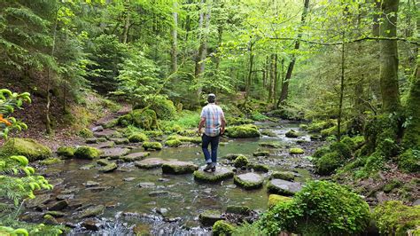 Bad Liebenzell Durch Das Monbachtal Zum Aussichtsturm Hohe Warte