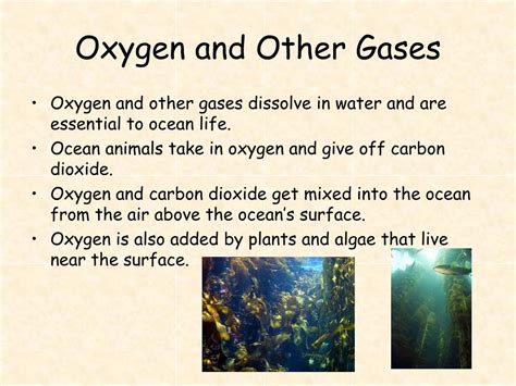 Ppt The Oceans Are A Connected System Powerpoint Presentation Free Download Id 6001460