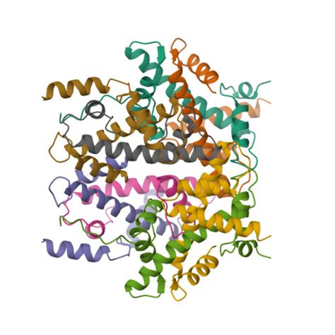 Histone Octamer Structure