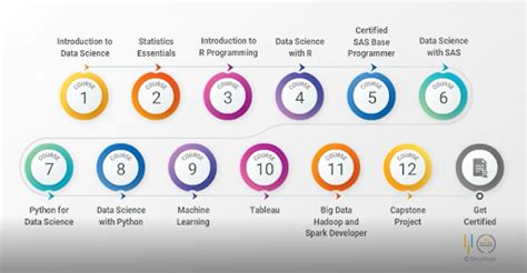 The Best Learning Path To Becoming A Data Scientist