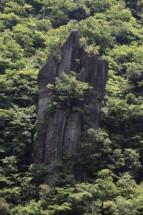 Banco De Imagens Rvore Natureza Rocha Regi O Selvagem Montanha