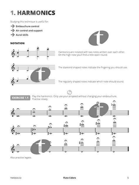 Flute Colors Extended Techniques For Flute Rogier De Pijper