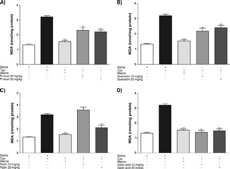 Effect Of Treatment With Mesna P Niruri Extract A Quercetin B