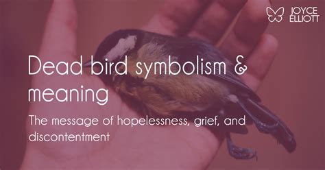 Dead Bird Symbolism and Meaning: It’s Time For Change and ...