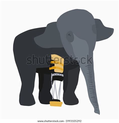 Elephant Prosthesis Left Front Paw Amputation Stock Vector (Royalty ...