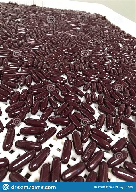 The Purple Pill is Slender and Placed on the Tray. Stock Photo - Image