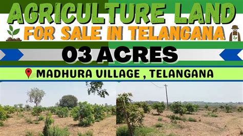 Jogipet Acres Agriculture Land For Sale Narsapur Kulcharam