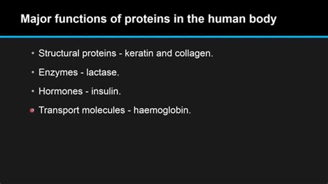 Illustrate The Main Function Of Protein