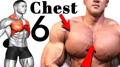 6 Big Chest Exercises In Gym Fastest My The Gym Youtube