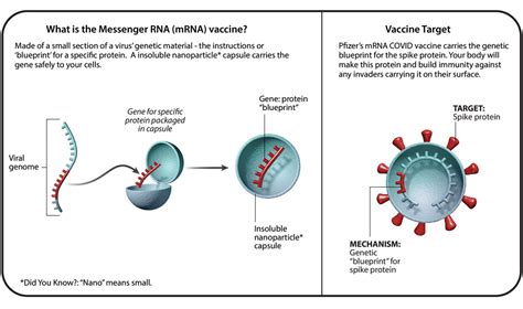 From MRNA To Electrons Here S Who Won Nobel Prizes In 2023 World