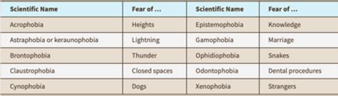 Unit Psychology Flashcards Quizlet