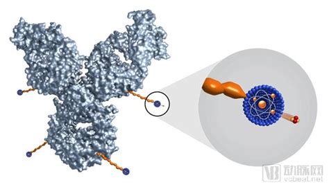 癌症关注癌症放射疗法再升温Fusion Pharmaceuticals获青睐 北京东方高圣控股股份有限公司