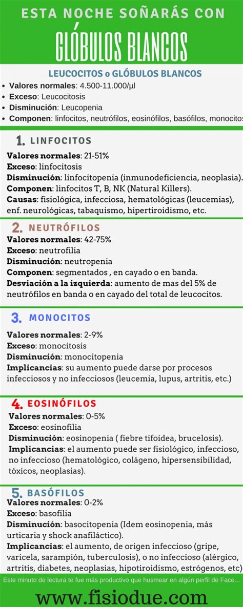 Neutr Filos Altos Causas S Ntomas Y Relaci N Con El Embarazo