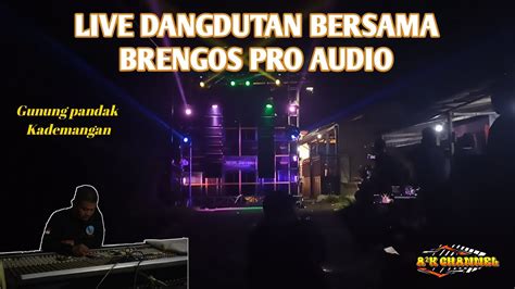 Live Brengos Dangdutan Horeg Sub Hari Ini Youtube