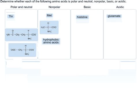 How To Tell Hydrophobic Amino Acids Nowdax