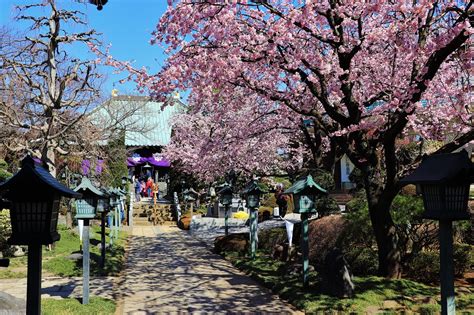 密蔵院｜観光マップ｜埼玉県川口市