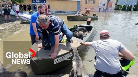 Ukraine Dam Collapse Kherson Residents Evacuated Face Lack Of