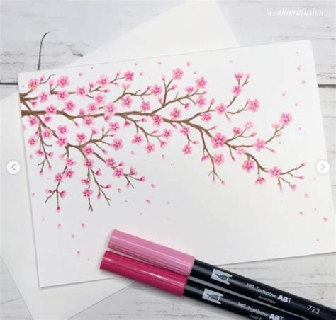 Splendid Cherry Blossom Drawings Illustrations To Love In