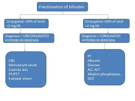 What Is Fractionated Bilirubin