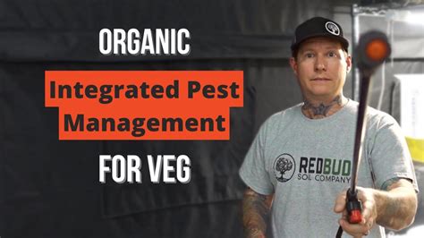 Organic Integrated Pest Management For Veg Natural Ipm Youtube