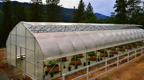 6 Reasons Ventilation Is Essential For Greenhouses Diy Gardening And Better Living