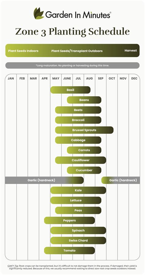 Vegetable Garden Planting Zones Grow Your Own Food: Knowing Your