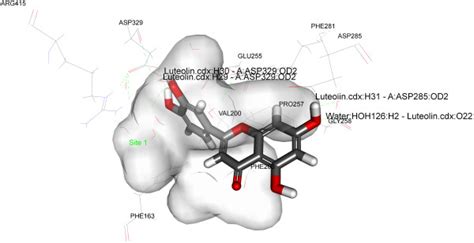 Close View Of Binding Mode Of Validated Active Ligand Compound In